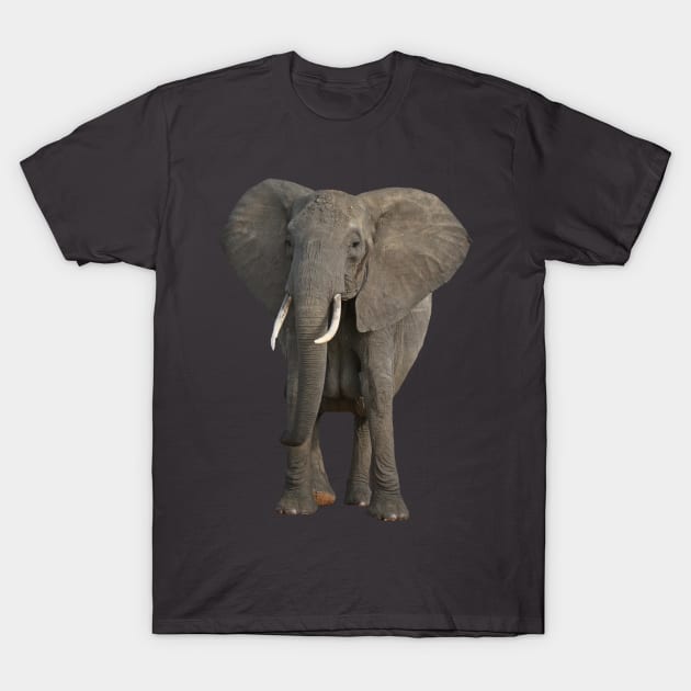 Elephant T-Shirt by Reinrab